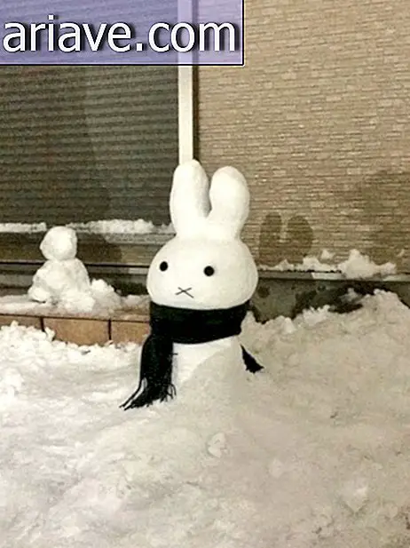 Tak się dzieje, gdy pada śnieg w Japonii