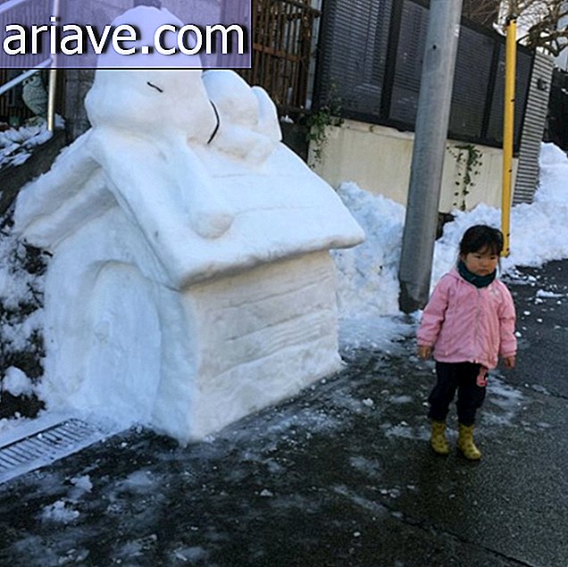 Japonya'da kar yağdığında ne olur?