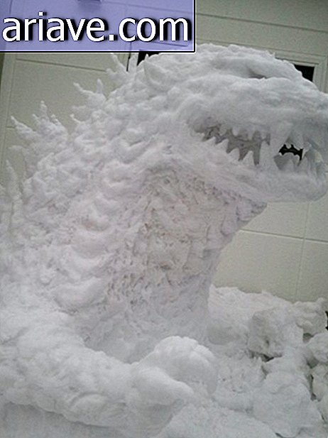 Esto es lo que sucede cuando nieva en Japón