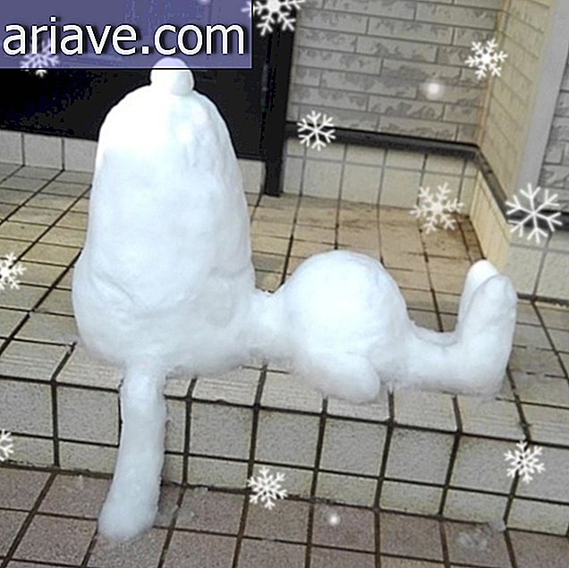 Questo è ciò che accade quando nevica in Giappone