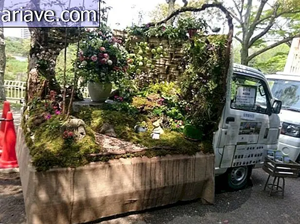 záhrada pre nákladné automobily