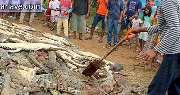Крокодил вбивство