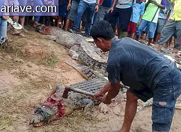 Вбивство крокодила з сокирою