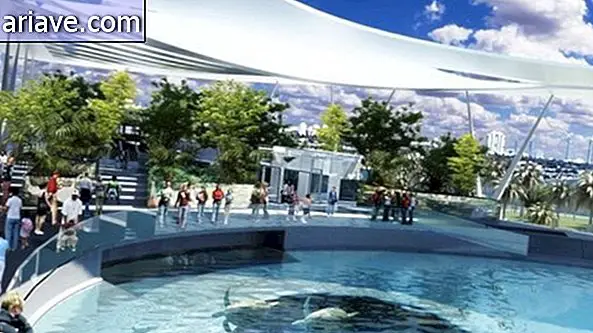 मियामी संग्रहालय शार्क पानी पार्क बनने के लिए