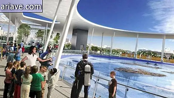 Muzeul din Miami pentru a deveni parc de apă rechin