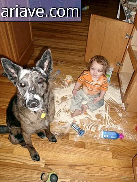 kids and pets