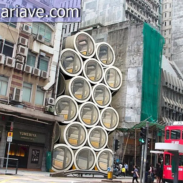 Hong Kong struktura