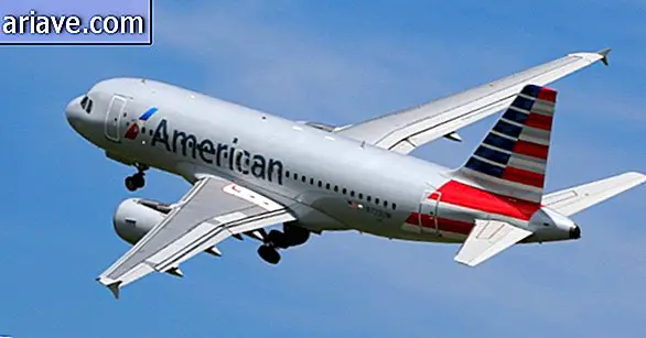 เครื่องบินของ American Airlines