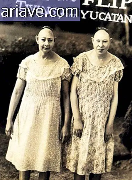 Pip and Flip, the “Yucatan Twins”