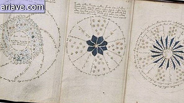 códigos manuscritos voynich