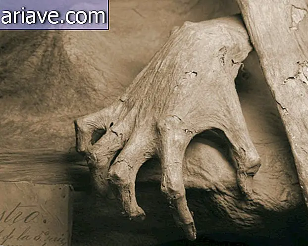 Mumifizierte Hand
