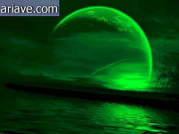 Zöld hold