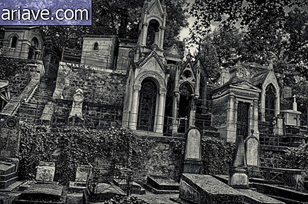 Cementerio siniestro