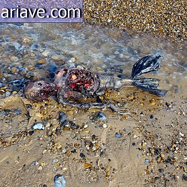 Ariel, is that you? Mermaid body is found on the beach and divides opinions
