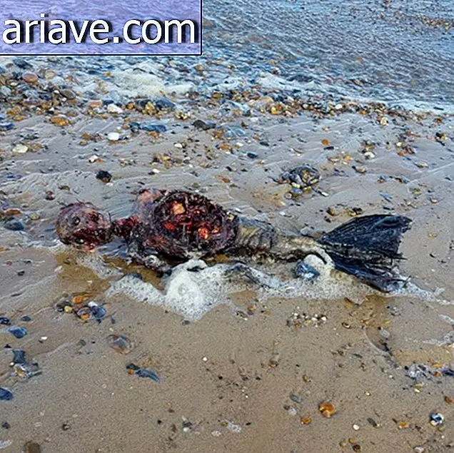 Ariel, is that you? Mermaid body is found on the beach and divides opinions