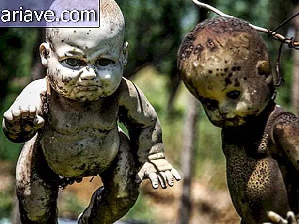 Aprende la historia macabra detrás de la siniestra Doll Island en México