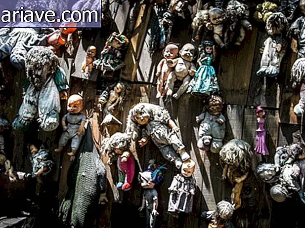 Découvrez l'histoire macabre de la sinistre île des poupées au Mexique