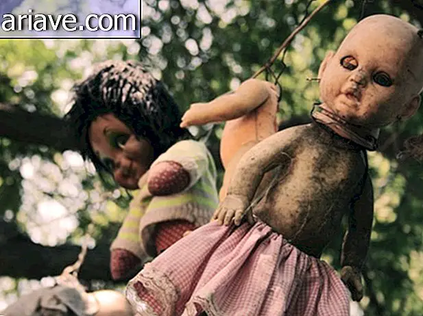 Opi makavaan tarina synkkän Doll-saaren takana Meksikossa