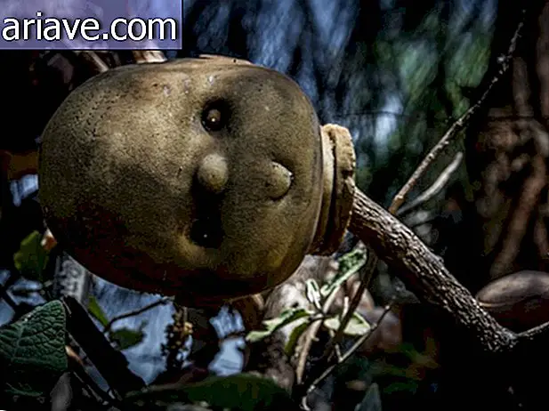 Lær den makabre historie bag den uhyggelige Doll Island i Mexico