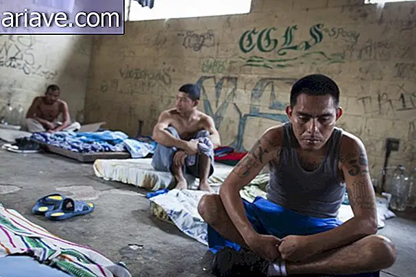 Les images des membres du gang le plus dangereux du Salvador se tournent vers le livre