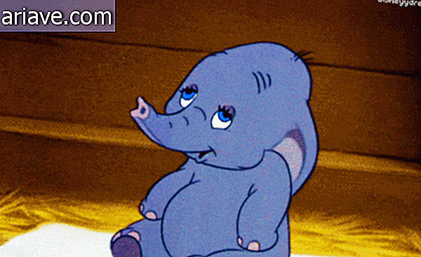 Dumbo sprut
