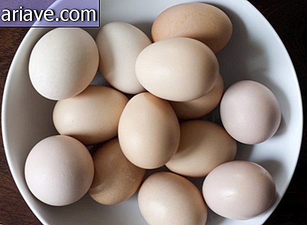 Bir tabak içinde kahverengi yumurta