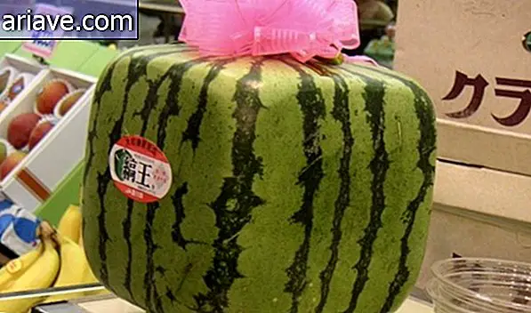 vierkante watermeloen