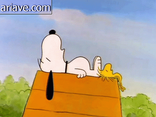 Snoopy at Woodstock